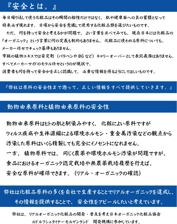 安全性に関する解説