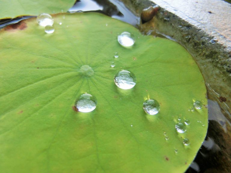ジェルのような水滴