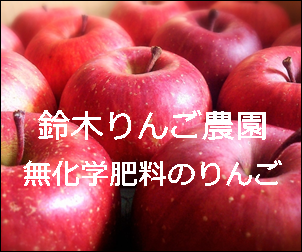 鈴木りんご農園バナー
